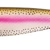 Приманки PRO SHAD 2 23cm Rainbow Trout