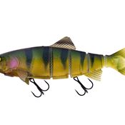 nre056-shallow-trout-rep-stickleback-2jpg